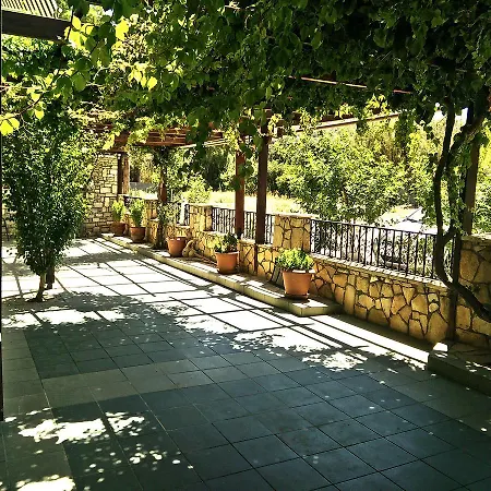 Dimitris Matala