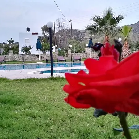 Dimitris 마탈라