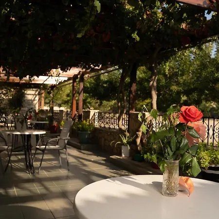 Dimitris B&B 3*
