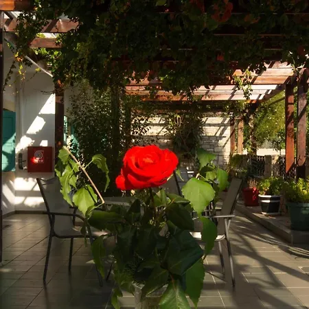 B&B Dimitris